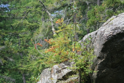 Lake Dunmore, Vermont 2010